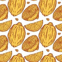 Seamless pattern lemons seamless pattern. Vintage background with whole lemon, sliced, half, leaf and seed in hand drawn style. Citrus design texture for print, fabric, wrapping, wallpaper, tissue. vector