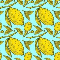 Seamless pattern lemons seamless pattern. Vintage background with whole lemon, sliced, half, leaf and seed in hand drawn style. Citrus design texture for print, fabric, wrapping, wallpaper, tissue. vector