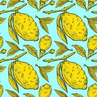 Seamless pattern lemons seamless pattern. Vintage background with whole lemon, sliced, half, leaf and seed in hand drawn style. Citrus design texture for print, fabric, wrapping, wallpaper, tissue. vector