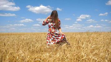 sorridente bellissimo signora nel il vestito sembra in il telecamera e turbinii in giro se stessa nel un' campo con Grano video