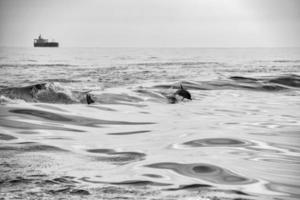 delfines saltando fuera del océano foto