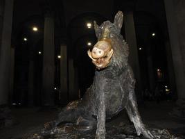 famous florence fortune pig boar detail photo