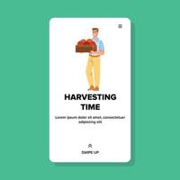 Man Harvesting Time Occupation In Orchard Vector