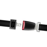 Seat Belt Automobile Life Safety Detail Vector