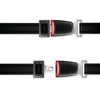 Seat Belt Automobile Life Safety Detail Set Vector