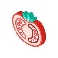 half tomato isometric icon vector illustration