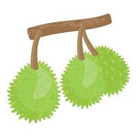 Nature durian branch icon cartoon vector. Sweet food vector