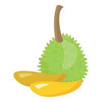 Natural leaf icon cartoon vector. Durian fruit vector