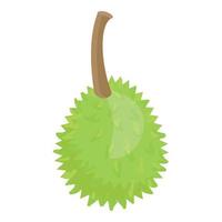 Whole durian icon cartoon vector. Sweet fruit vector