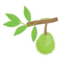 Durian branch icon cartoon vector. Sweet fruit vector