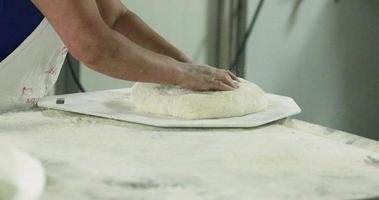 boulanger mettre la pâte pétrie sur la plaque diviseuse ronde et saupoudrer de farine de blé. plaque de séparation des petits pains. - photo en gros plan video