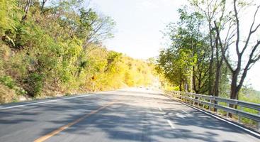 paved road speed  green forest travel holiday tourism  use of road safety photo