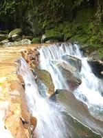 Nature background photo of waterfall river moss and leaves