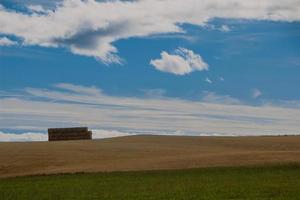 campos de trigo escoceses dorados y barrancos en dunnottar. panorámico foto