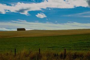 Golden scottish wheat fields and ravines in Dunnottar. Panoramic photo