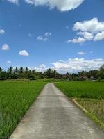 the beauty of the natural scenery in the village during the day photo