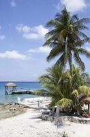 Muelle de madera para buzos de la isla de Cozumel foto