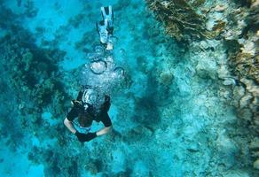 scuba diver, male diver swimming along the seabed and coral reef in the Red Sea photo