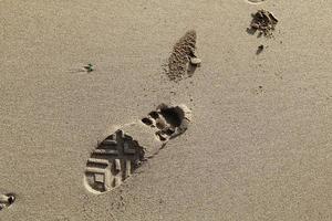 Footprints in the sand by the sea photo