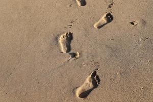 Footprints in the sand by the sea photo