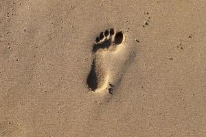 Footprints in the sand by the sea photo