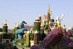 Dubai UAE 07 . 12 . 2022 . Plants and flowers in the Miracle Garden in Dubai. photo