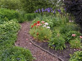 Narrow winding path through a garden with poppies photo