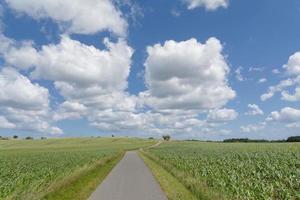 Tierras agrícolas en Ruegen,mar Báltico, Mecklemburgo-Pomerania Occidental, Alemania foto