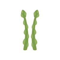 Nature asparagus icon flat vector. Vegetable plant vector
