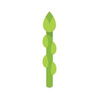 Organic asparagus icon flat vector. Plant bunch vector