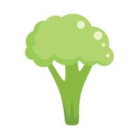 Vegan brocoli icon flat vector. Vegetable cabbage vector