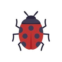 Luck ladybug icon flat vector. Japan fuji vector