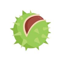 Sweet chestnut icon flat vector. Food tree vector