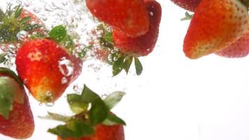 Strawberry drop into fresh water on white background. video