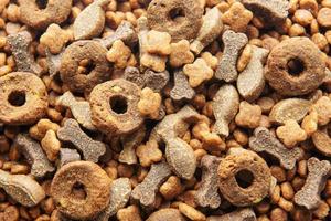 Dry food for dogs of different shapes photo