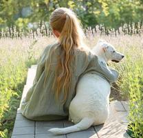 A little girl with a white dog sits and admires the lavender field. photo