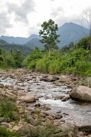 flujo de agua corriente de la montaña.en promkiri, nakhonsithammarat foto