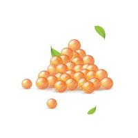 Realistic Detailed 3d Red Caviar Pile. Vector