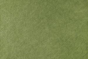 Khaki velveteen upholstery fabric texture background. photo