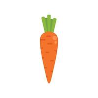 Fresh garden carrot icon flat vector. Sport food vector