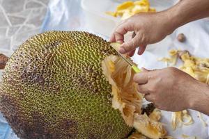 Hand of man holding a knife to cut the jackfruit.