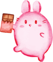 valentine cute bunny with a chocolate png