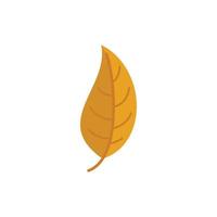 Tree leaf icon flat vector. November tree vector