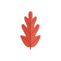 Red leaf icon flat vector. Fall leaf vector