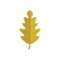 New leaf tree icon flat vector. Fall maple vector