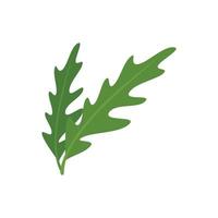 vector plano de icono de planta de rúcula. rúcula vegetal