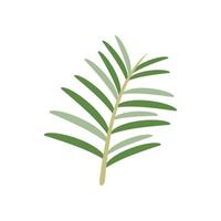 Nature rosemary icon flat vector. Herb plant vector