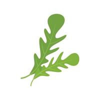 Ruccola food icon flat vector. Arugula leaf vector