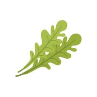 vector plano de icono de hoja de rúcula. ensalada de rúcula