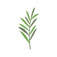 Rosemary branch icon flat vector. Herb plant vector